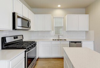 17900 Papaveri Wy in Pflugerville, TX - Building Photo - Building Photo
