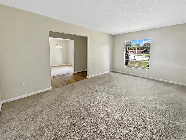 23910 latebarkct in Lutz, FL - Foto de edificio - Building Photo