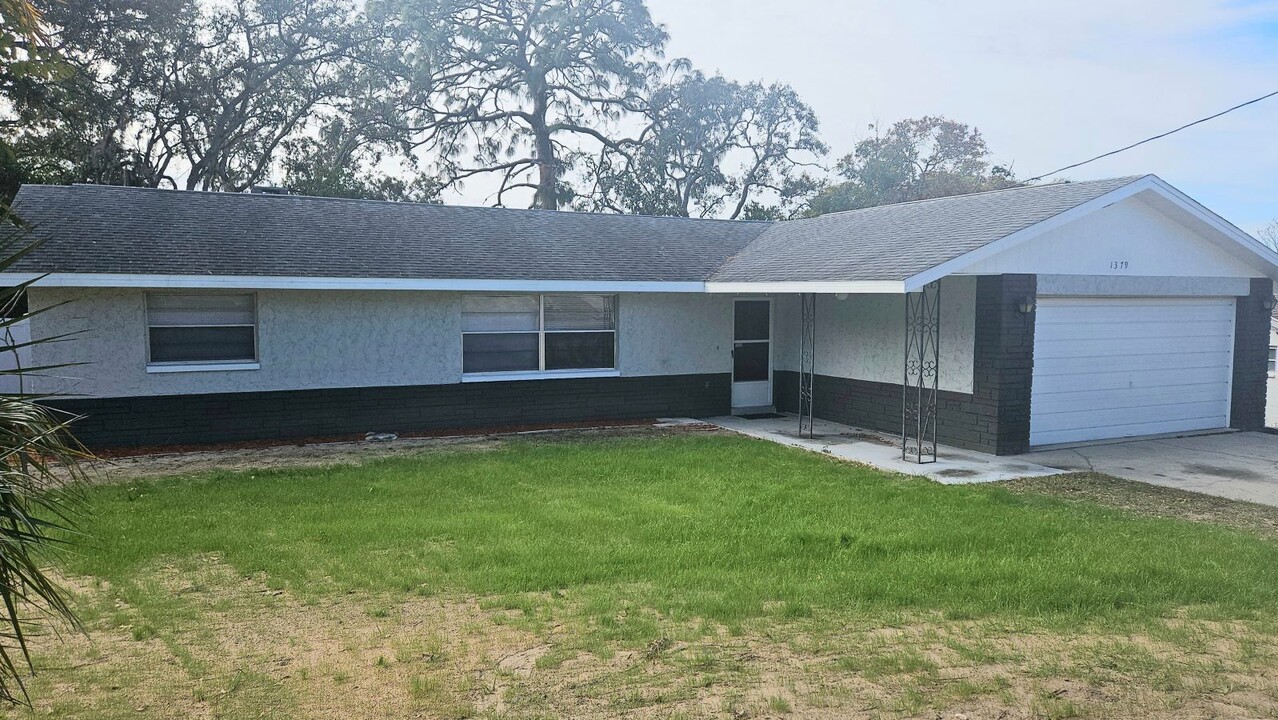 1379 Newhope Rd in Spring Hill, FL - Building Photo