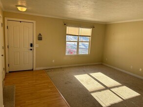 557 Braidhill Dr in Draper, UT - Building Photo - Building Photo