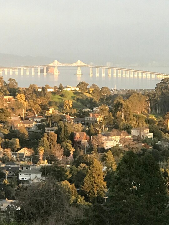 27 Graceland Dr in San Rafael, CA - Building Photo
