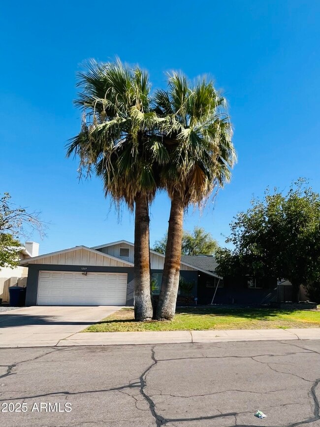 1269 E Loma Vista Dr in Tempe, AZ - Building Photo - Building Photo