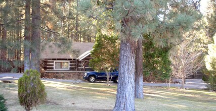 572 Jeffries Rd in Big Bear Lake, CA - Building Photo - Building Photo