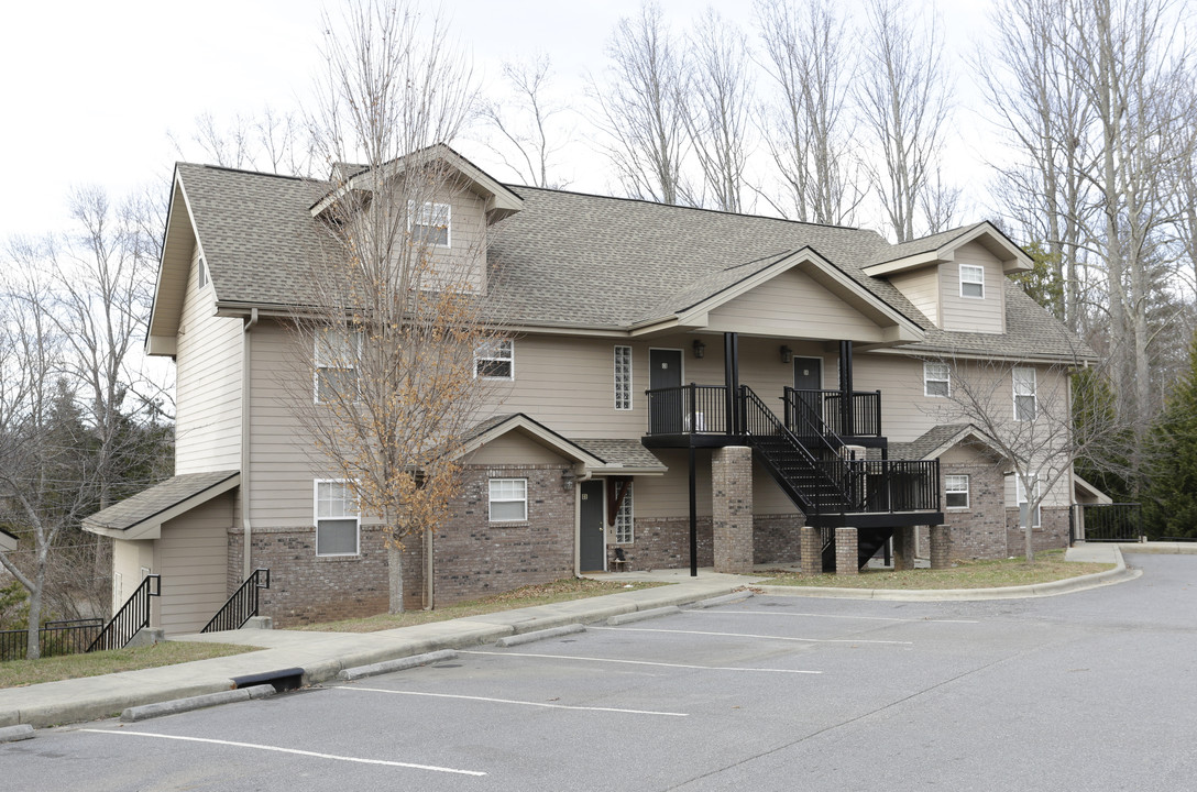 Acton Woods Apartments in Candler, NC - Building Photo