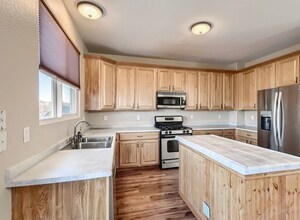 11884 Swansea Dr in Parker, CO - Building Photo - Building Photo