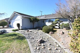 1336 Buchanan Dr in Santa Clara, CA - Building Photo - Building Photo