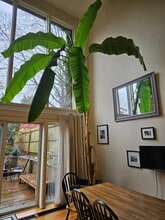 155 Bradley St, Unit #1 in New Haven, CT - Foto de edificio - Building Photo