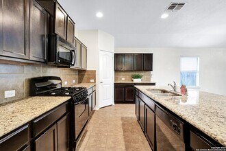 446 Eastern Phoebe in San Antonio, TX - Building Photo - Building Photo