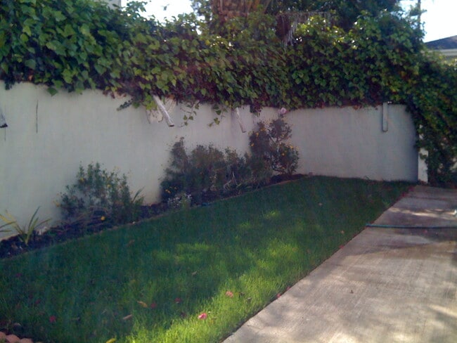 1534 Veteran Ave in Los Angeles, CA - Building Photo - Building Photo