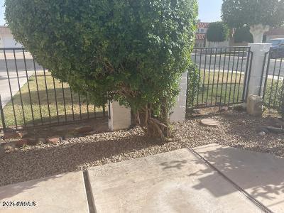 10636 W Deanne Dr in Sun City, AZ - Building Photo - Building Photo