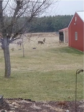 N9362 7th Ave in Necedah, WI - Foto de edificio - Building Photo