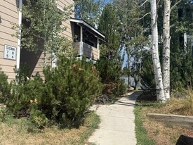 1385 Sparta Plaza in Steamboat Springs, CO - Building Photo