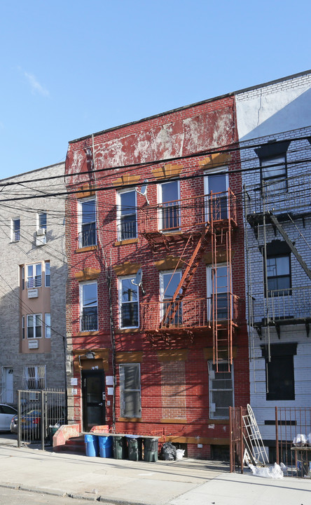 1677 sterling llz in Brooklyn, NY - Building Photo