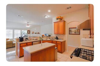 701 Stokesay Castle Path in Pflugerville, TX - Building Photo - Building Photo