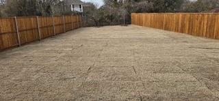 1837 Pentro Pkwy in Providence Village, TX - Building Photo - Building Photo