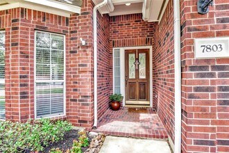 7803 Blue Stream Ct in Houston, TX - Building Photo - Building Photo