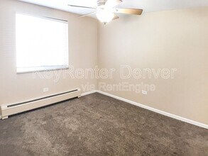 529 N Washington St in Denver, CO - Building Photo - Building Photo