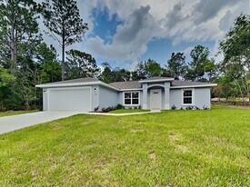238 W Ruska Pl in Citrus Springs, FL - Building Photo