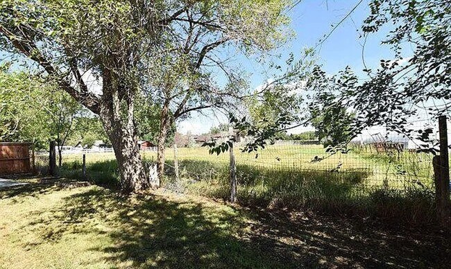 3242 Sunrise Dr in Laporte, CO - Building Photo - Building Photo