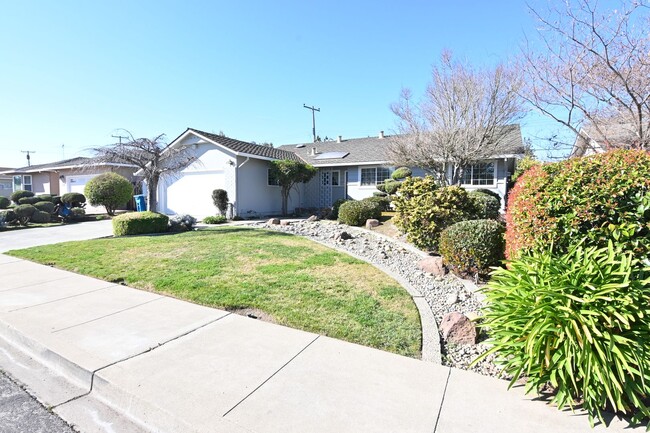 1336 Buchanan Dr in Santa Clara, CA - Building Photo - Building Photo