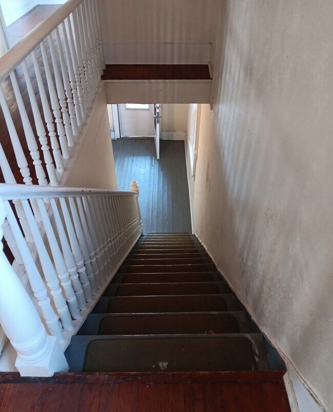 816 Avon St in Charlottesville, VA - Building Photo - Building Photo