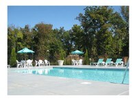 Pool - Mill Pond Apartments in Charlotte, North Carolina