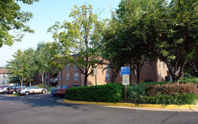 Yorkville Cooperative in Fairfax, VA - Building Photo - Building Photo