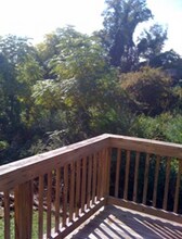 193 Marlin St in Athens, GA - Building Photo - Building Photo