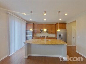 1156 Raindrop Way in Castle Rock, CO - Building Photo - Building Photo