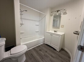 313 N Michigan Ave in Big Rapids, MI - Building Photo