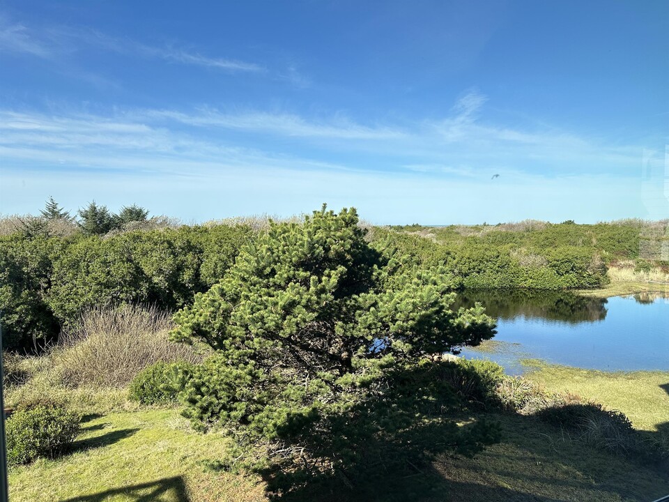 353 Sand Dune Ave SW in Ocean Shores, WA - Building Photo