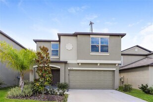 10254 Carloway Hills Dr in Wimauma, FL - Building Photo