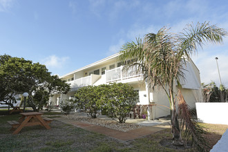 Sand Dollar Apartments in Jacksonville Beach, FL - Building Photo - Other