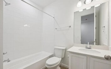 920 Steppe Ln in Windsor, CO - Building Photo - Building Photo