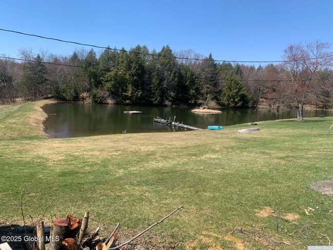 24 Kowal Ln in Westerlo, NY - Building Photo - Building Photo