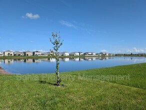 16887 Delia St in Wimauma, FL - Building Photo - Building Photo