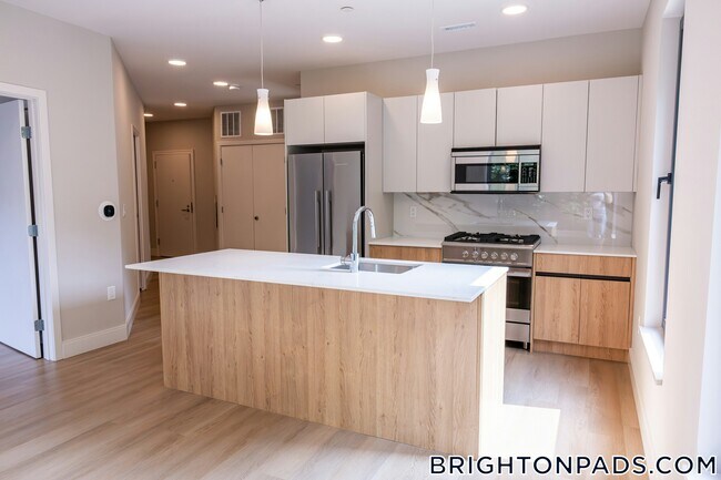 249 Corey Rd in Boston, MA - Building Photo - Building Photo