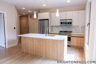 249 Corey Rd in Boston, MA - Building Photo - Building Photo
