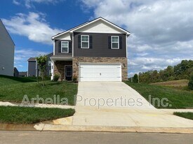 424 Quiver St in Johnson City, TN - Building Photo