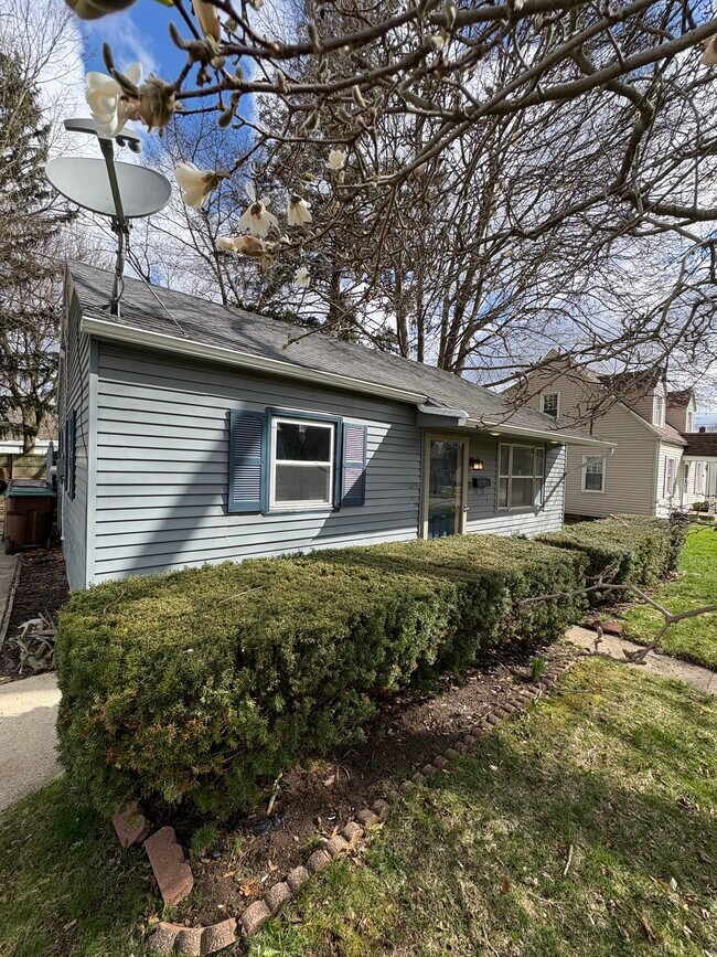 313 E North St in Albion, MI - Building Photo - Building Photo