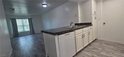 933 SE 23rd Pl in Cape Coral, FL - Foto de edificio - Building Photo