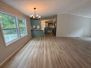 901 Green Meadow Dr in Chapin, SC - Building Photo - Building Photo