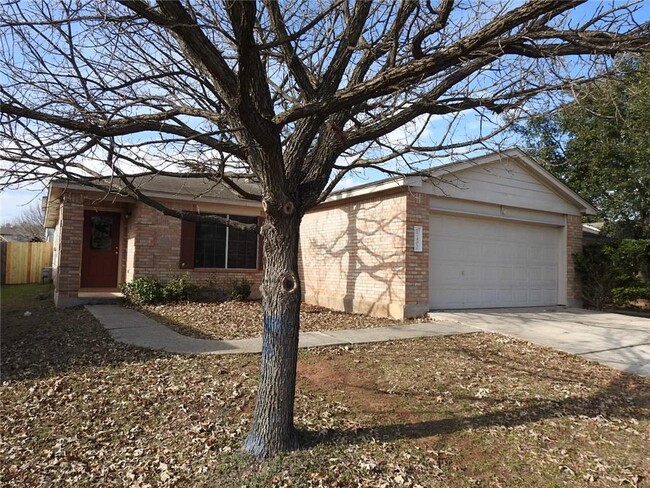 17402 Dashwood Creek Dr in Pflugerville, TX - Building Photo - Building Photo