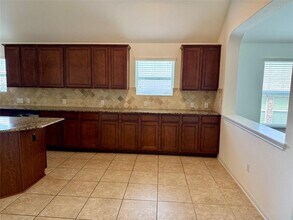 19609 Drifting Meadows Dr in Pflugerville, TX - Building Photo - Building Photo