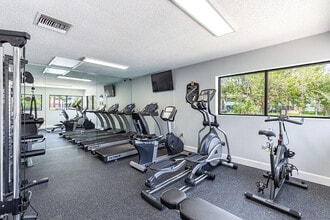 Palms at Sand Lake in Tampa, FL - Building Photo - Building Photo