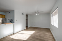 24 Flats in Austin, TX - Building Photo - Interior Photo