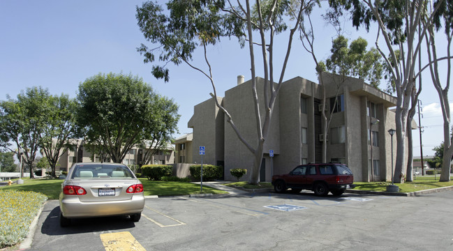 Citrus Arms in Redlands, CA - Foto de edificio - Building Photo