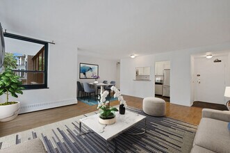 33 E Cedar St in Chicago, IL - Building Photo - Building Photo