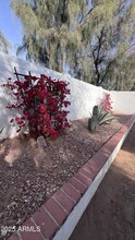 8376 W Melinda Ln in Peoria, AZ - Building Photo - Building Photo