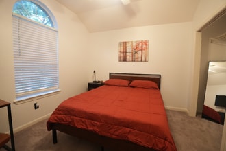 1500 Mexican Heather Ct in Pflugerville, TX - Building Photo - Building Photo